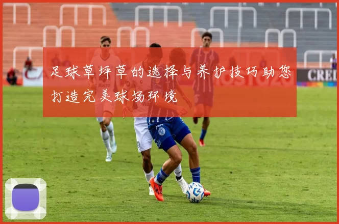 足球草坪草的选择与养护技巧助您打造完美球场环境