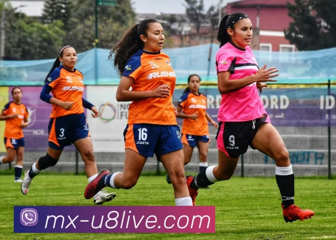 U8国际平台生态图